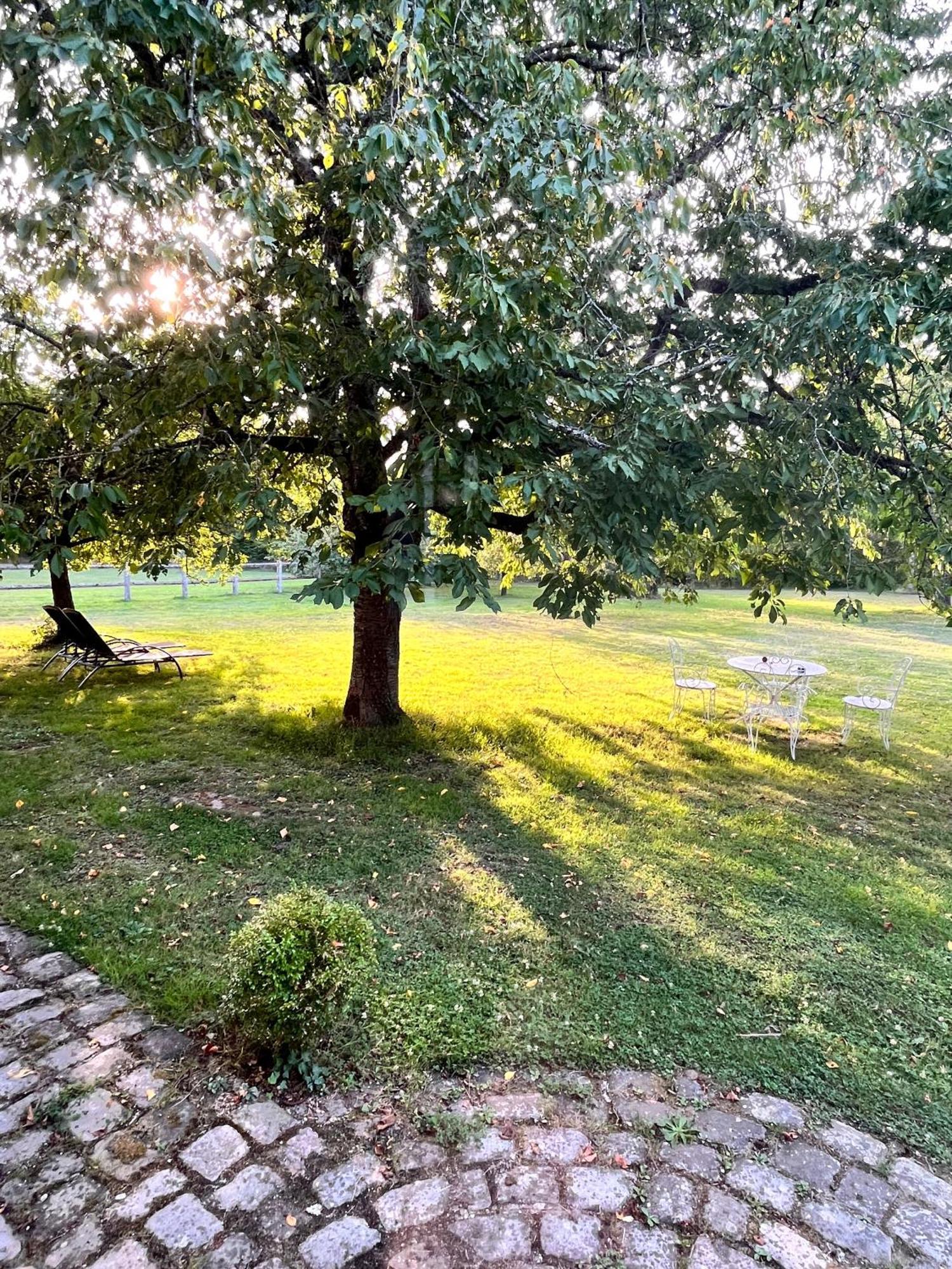La Vieille Bouverie Savennieres Экстерьер фото